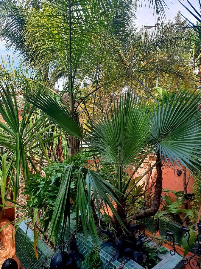 Villa Amira & Spa Marrakesh Luaran gambar